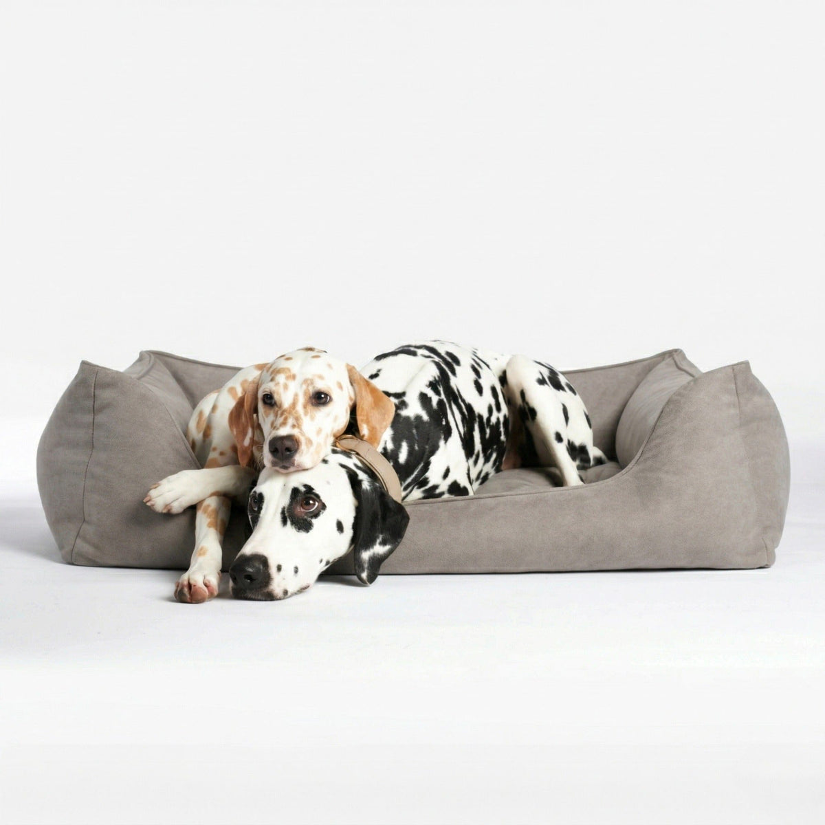 William Walker Orthopädisches Hundebett Plain Sand (Beige) / S / Kissen (Flocken)