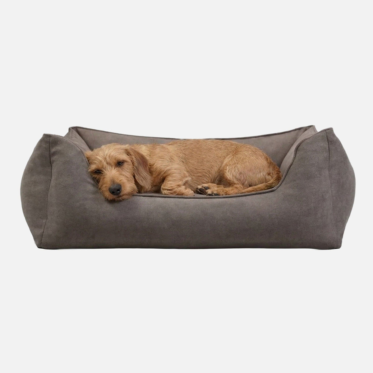 William Walker Orthopädisches Hundebett Plain Stone / S / Kissen (Flocken)