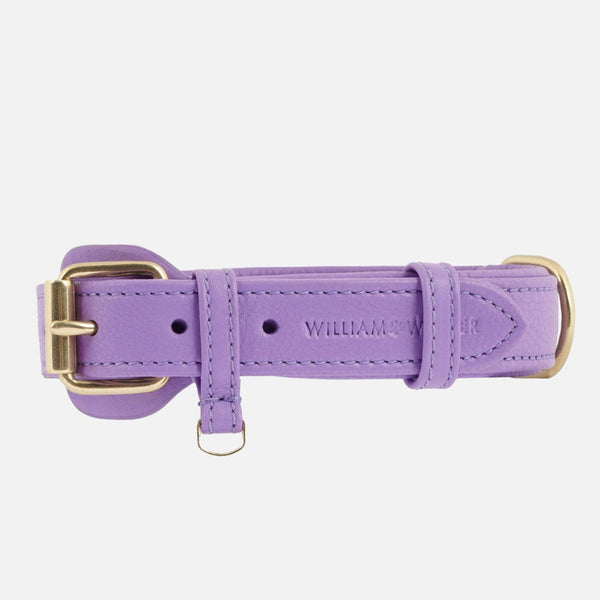 Leather Dog Collar Lavender (Purple)