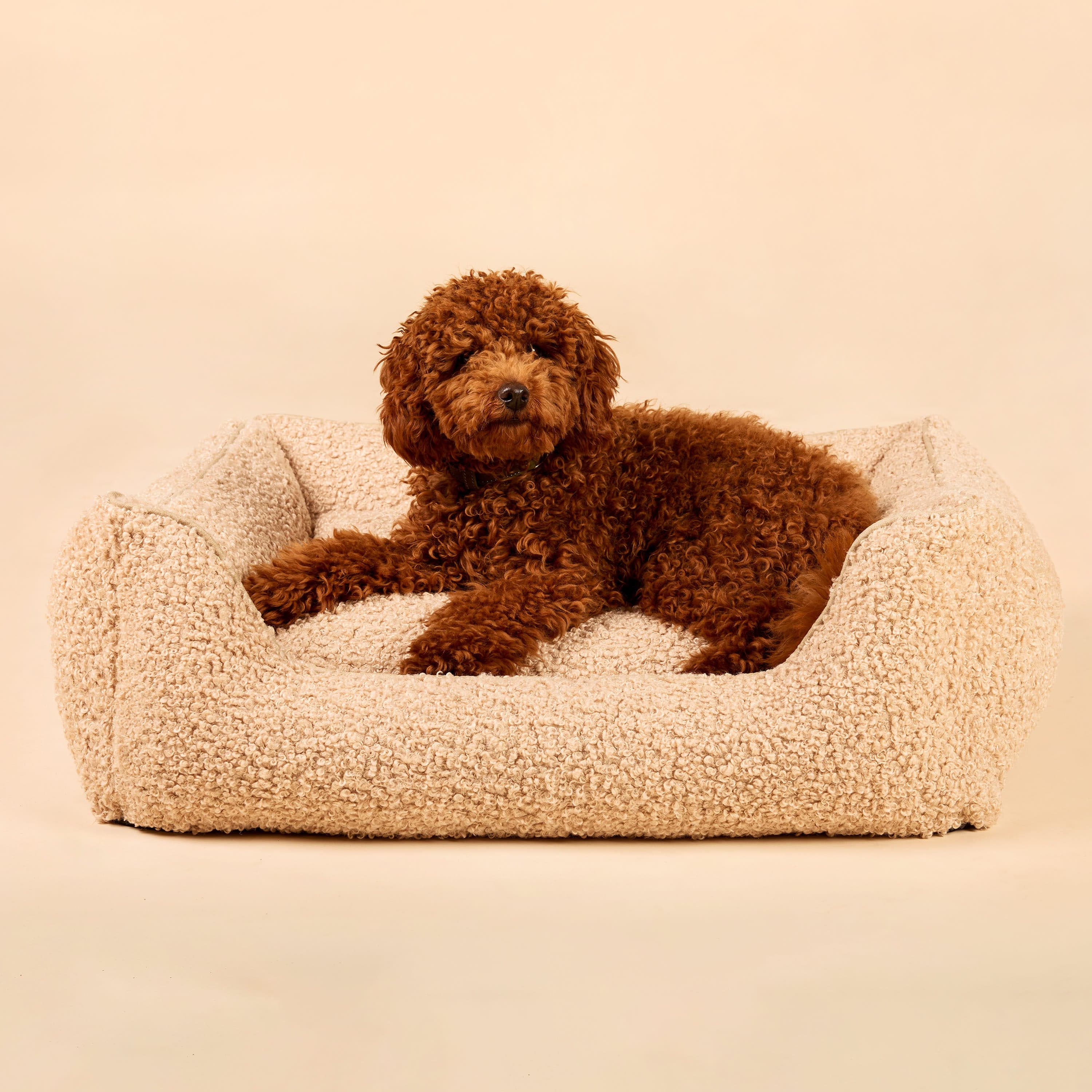 William Walker Orthopädisches Hundebett Cozy