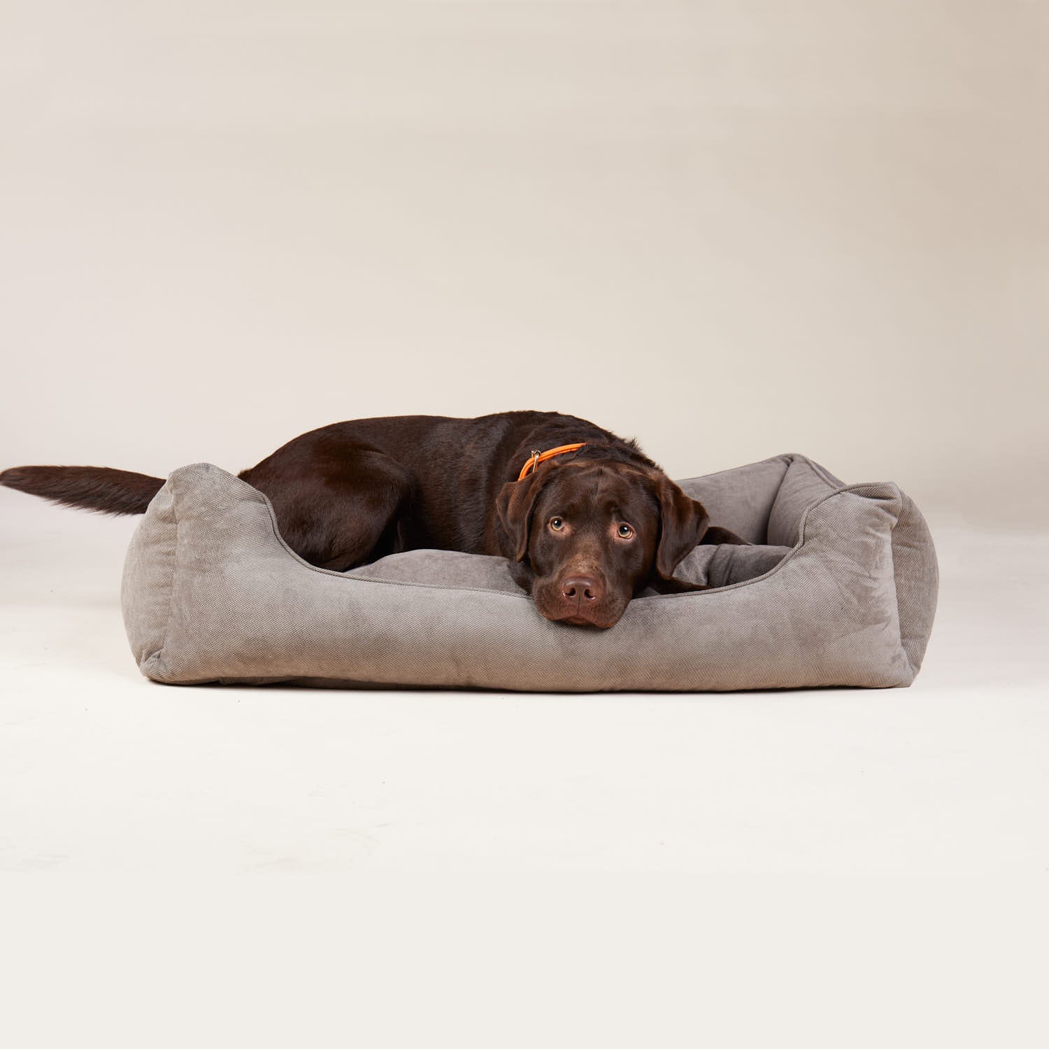 William Walker Orthopädisches Hundebett Grau