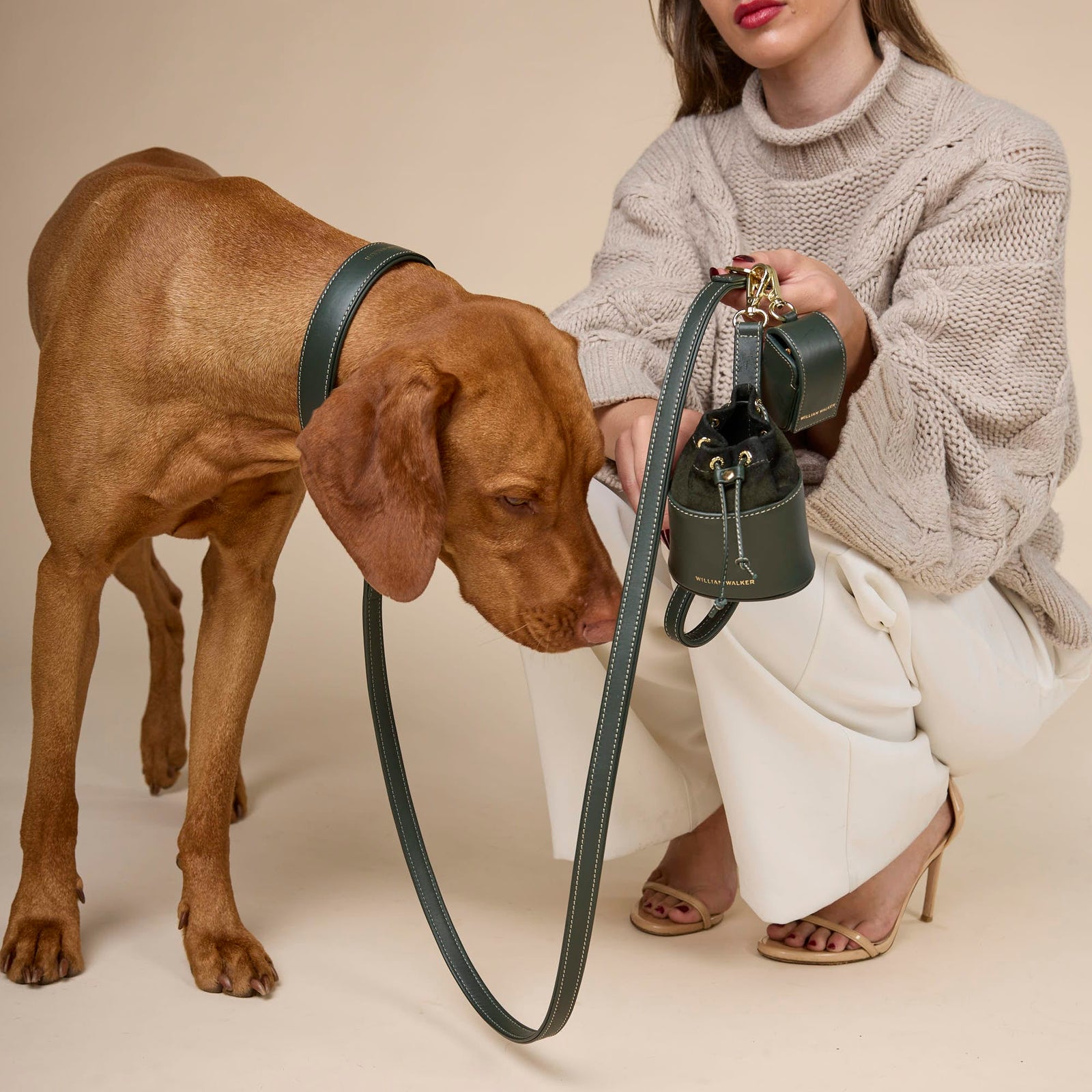 William Walker Hochwertige Glattleder Hundeleine Forest