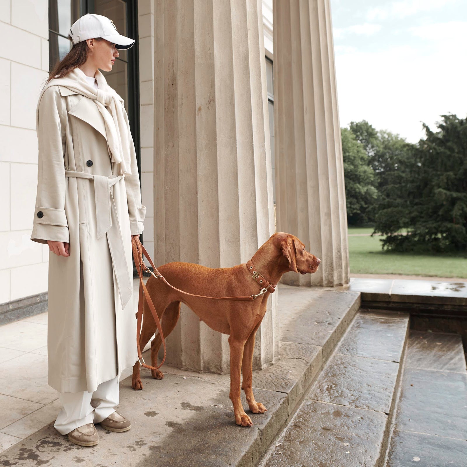 William Walker Hochwertige Leder Hundeleine Prestige Caramel