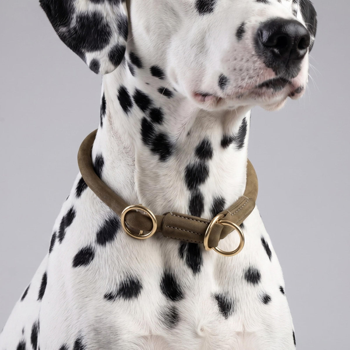 William Walker Round Leather Martingale Collar