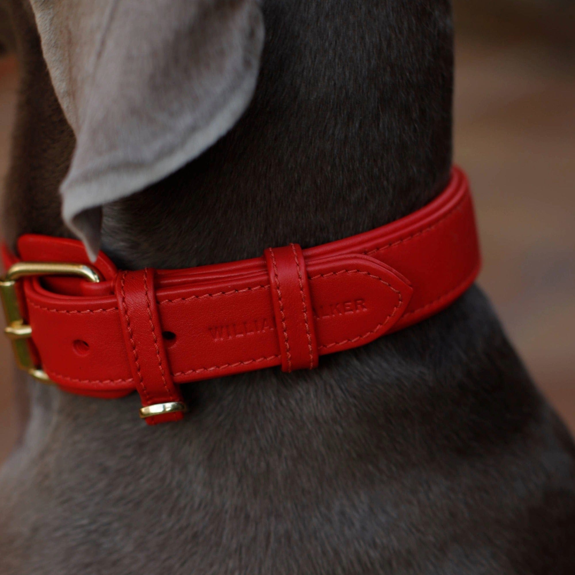 William Walker Leder Hundehalsband Chili (Rot)