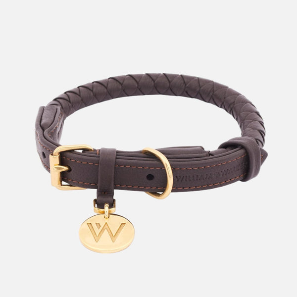 Leather Dog Collar Twisted Earth (Brown)
