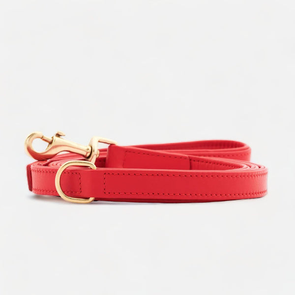 Premium Leather Dog Leash Chili (Red)