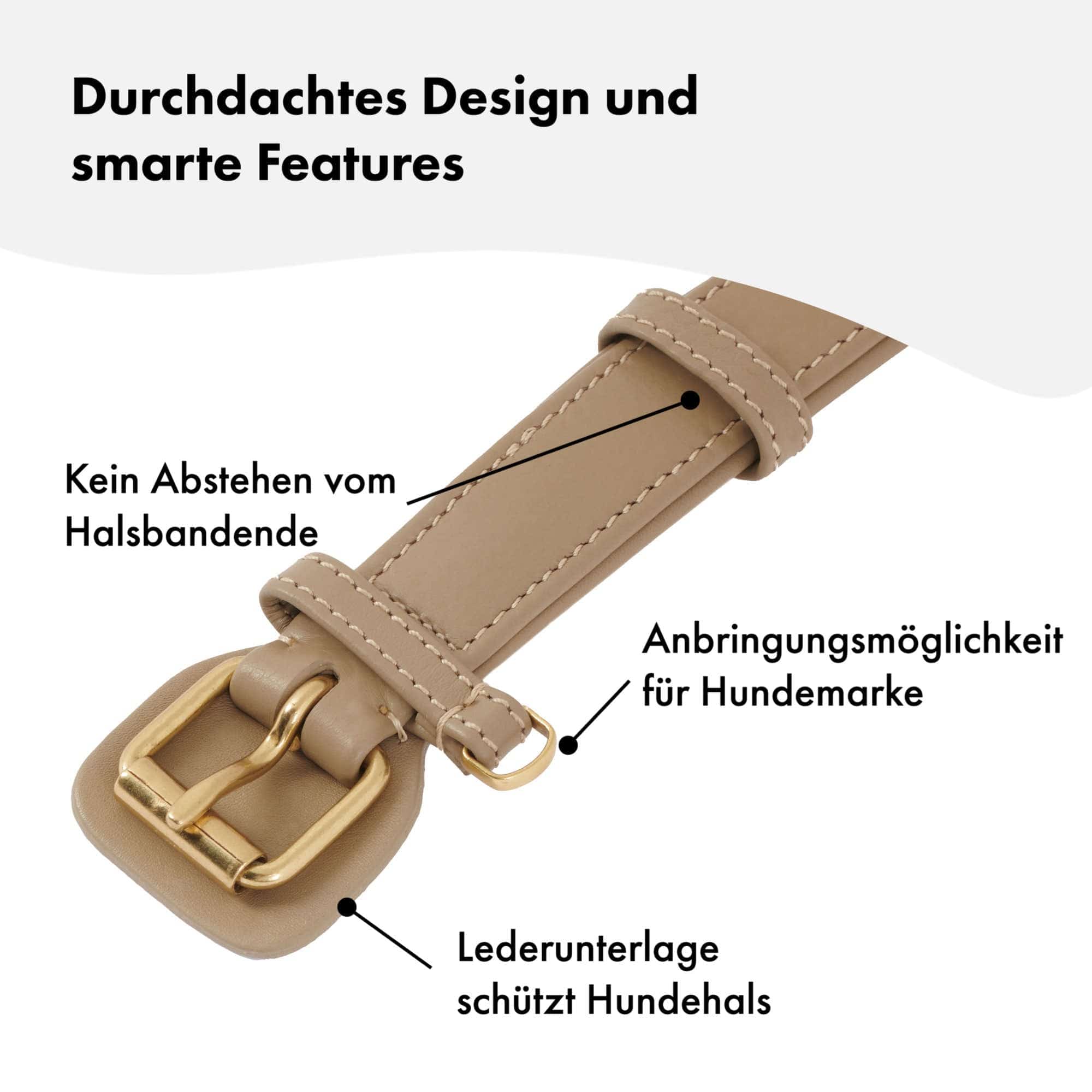 Hochwertiges Echtleder-Hundehalsband - Verstellbar, robust und ideal für kleine und große Hunde in stylischem Beige und mit goldenen Schnallen. 