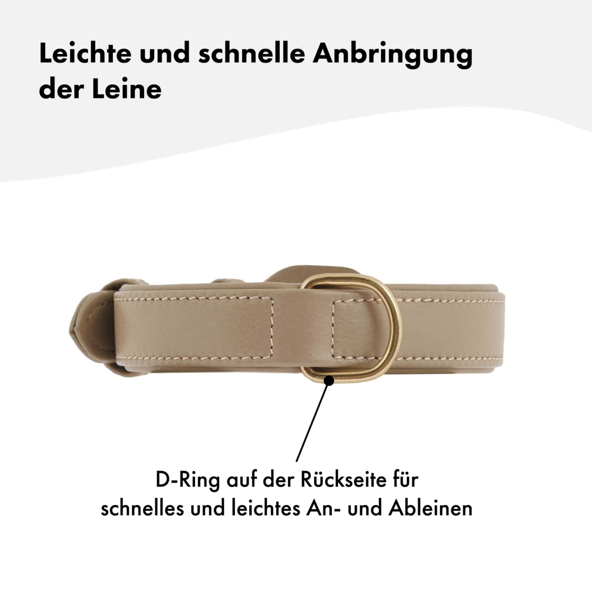 Hochwertiges Echtleder-Hundehalsband - Verstellbar, robust und ideal für kleine und große Hunde in stylischem Beige und mit goldenen Schnallen. 