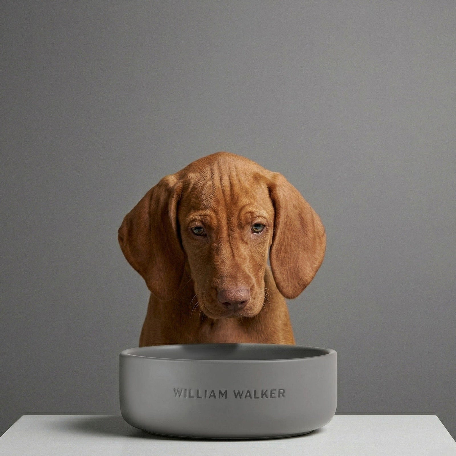 William Walker Keramik-Hundenapf Sea Salt (grau)