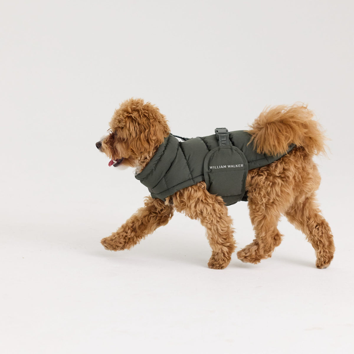 William Walker Abrigo de invierno cálido para perro Alpine