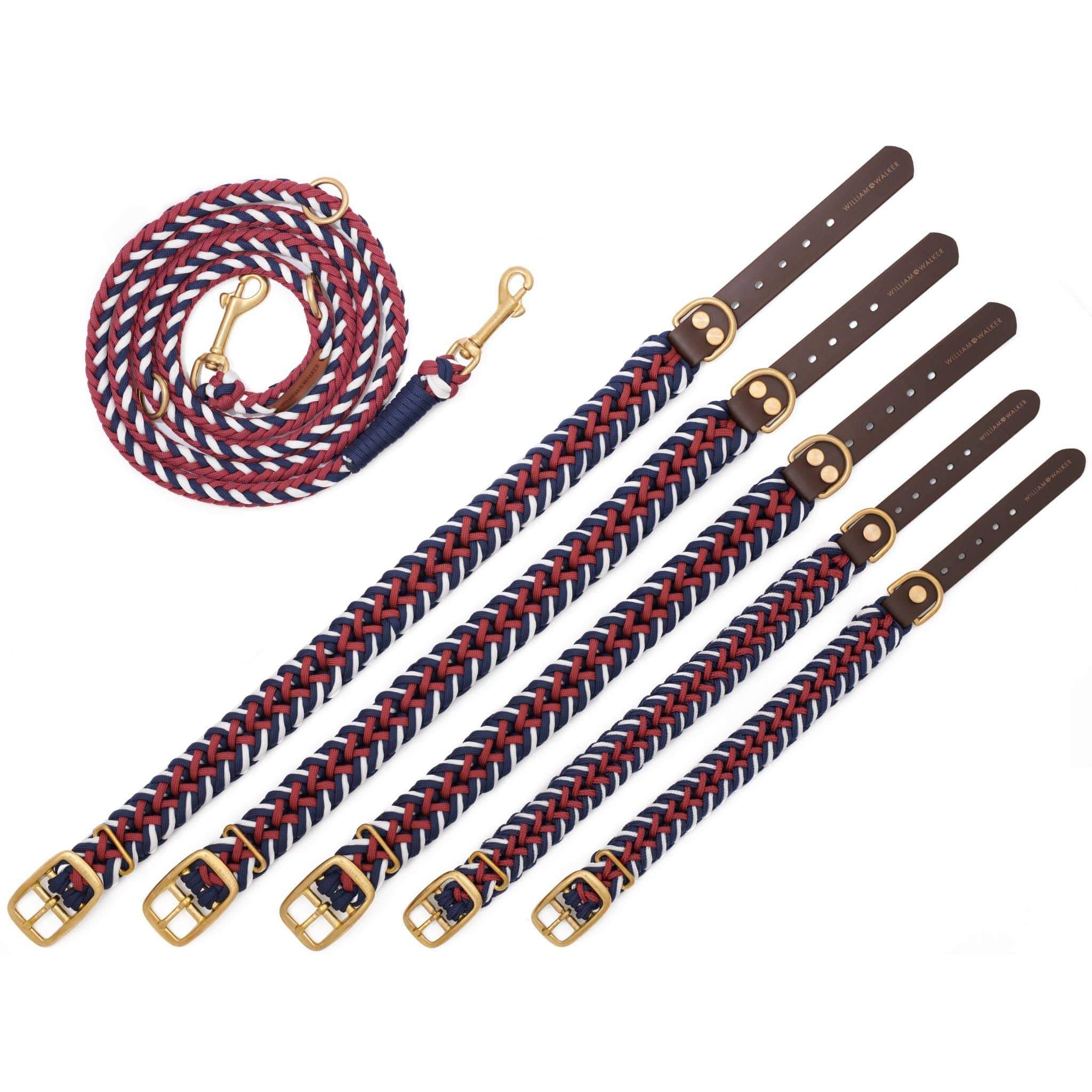 Paracord laisse de chien Royal